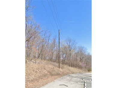 UNRESTRCICTED LAND! Here are 5.16 (+/-) acres boasting abundant - photo 4