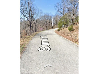 UNRESTRCICTED LAND! Here are 5.16 (+/-) acres boasting abundant - photo 6