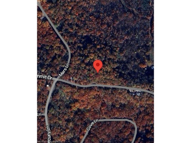 UNRESTRCICTED LAND! Here are 5.16 (+/-) acres boasting abundant - photo 8