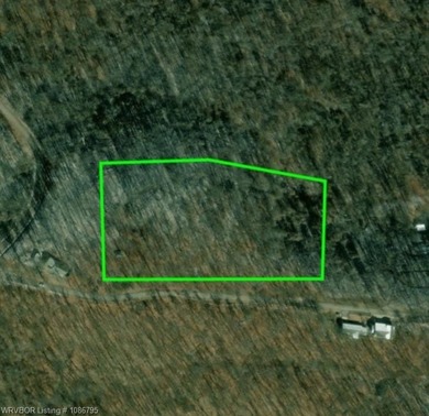 UNRESTRCICTED LAND! Here are 5.16 (+/-) acres boasting abundant - photo 10