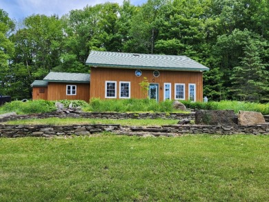 Lake Home For Sale in Summit, New York