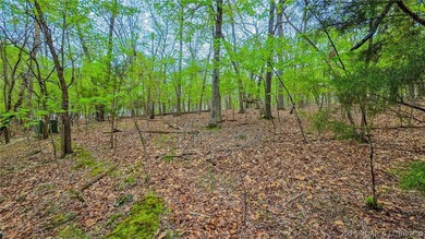 Discover the perfect setting for your custom home in the highly - photo 2