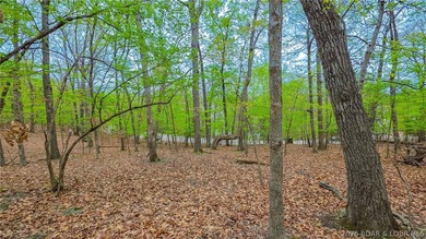Discover the perfect setting for your custom home in the highly - photo 3
