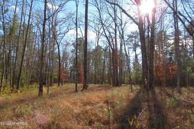 Neuse River Lot For Sale in Oriental North Carolina