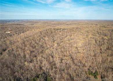 Discover your own slice of the Ozarks with this stunning 15-acre - photo 2