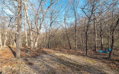 Discover your own slice of the Ozarks with this stunning 15-acre - photo 3