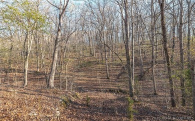 Discover your own slice of the Ozarks with this stunning 15-acre - photo 5
