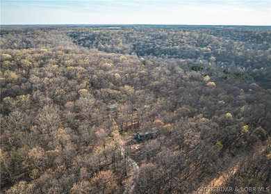 Discover your own slice of the Ozarks with this stunning 15-acre - photo 8