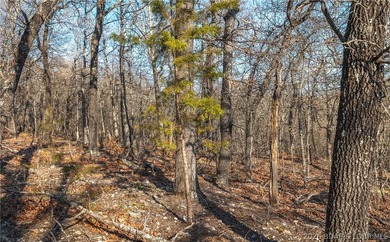 Discover your own slice of the Ozarks with this stunning 15-acre - photo 10