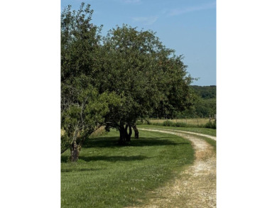 Price Drop on Two Homes/80ac with a large pond, Barns & More! If