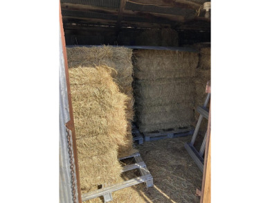 Price Drop on Two Homes/80ac with a large pond, Barns & More! If