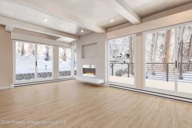 Lake Condo For Sale in Aspen, Colorado