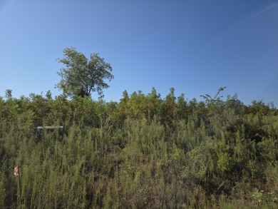 Hillside Waterview beauty on Richland Chambers Lake - photo 2