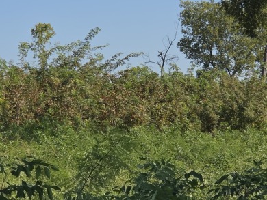 Hillside Waterview beauty on Richland Chambers Lake - photo 23