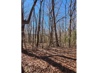 (private lake, pond, creek) Lot For Sale in Crossville Tennessee