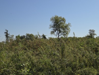 Hillside Waterview beauty on Richland Chambers Lake - photo 11