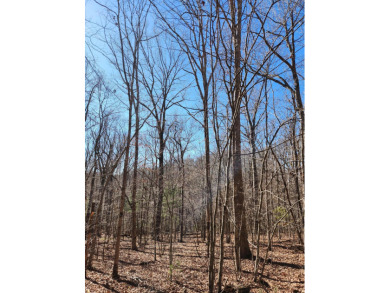 (private lake, pond, creek) Lot For Sale in Crossville Tennessee