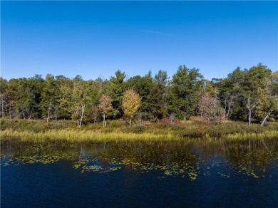 Gilmore Lake - Washburn County Acreage For Sale in Minong Wisconsin