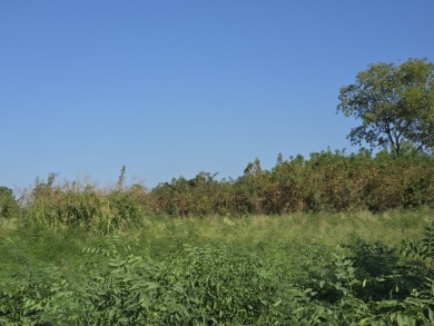 Hillside Waterview beauty on Richland Chambers Lake - photo 21