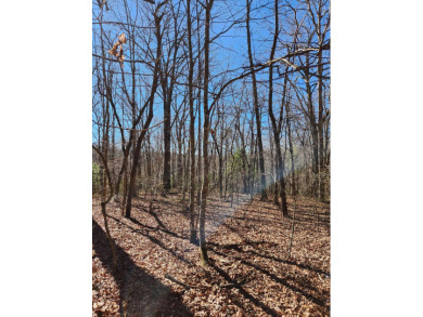 (private lake, pond, creek) Lot For Sale in Crossville Tennessee