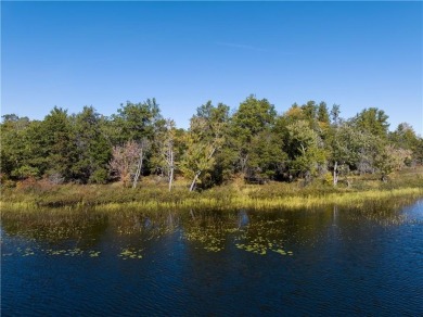 Gilmore Lake - Washburn County Acreage For Sale in Minong Wisconsin