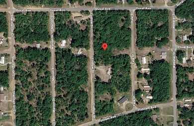 Chipco Lake Lot For Sale in Interlachen Florida