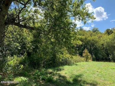 Lake Lot For Sale in Rockwood, Tennessee