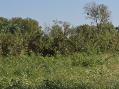 Hillside Waterview beauty on Richland Chambers Lake - photo 22