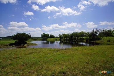 (private lake, pond, creek) Acreage For Sale in Bertram Texas