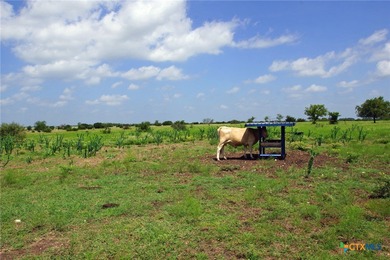 This exceptional 200-acre ranch property in Bertram, TX, offers - photo 4