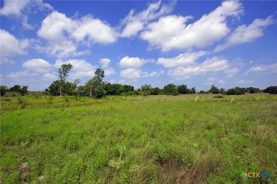This exceptional 200-acre ranch property in Bertram, TX, offers - photo 5