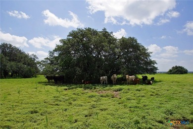 This exceptional 200-acre ranch property in Bertram, TX, offers - photo 7