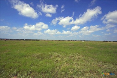 This exceptional 200-acre ranch property in Bertram, TX, offers - photo 8