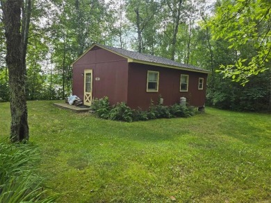 Lake Home For Sale in Balsam Twp, Minnesota