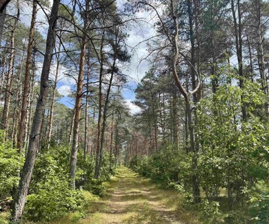 (private lake, pond, creek) Acreage For Sale in Harrison Michigan