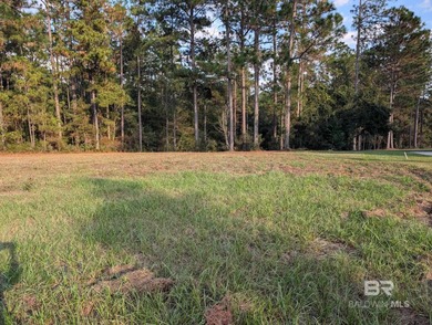 Waiting on You! Ready to Build in the Juniper Creek Golf Club - photo 2