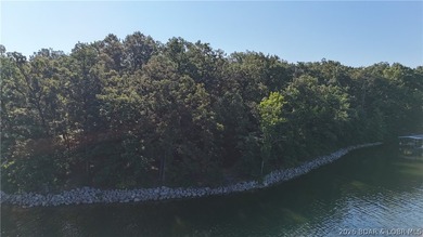 Seize this extraordinary & Rare Lakefront Opportunity with 440 - photo 10