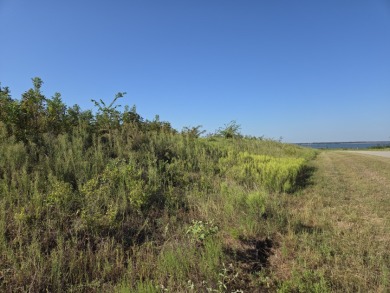 Hillside Waterview beauty on Richland Chambers Lake - photo 24