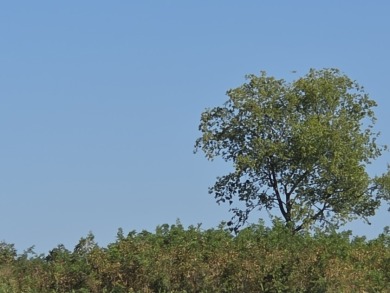 Hillside Waterview beauty on Richland Chambers Lake - photo 15