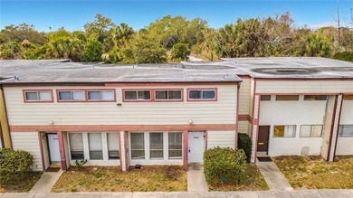 Lake Catherine - Orange County Condo For Sale in Orlando Florida