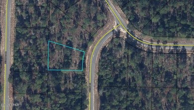 Blue Homestead Lake  Lot For Sale in Chipley Florida