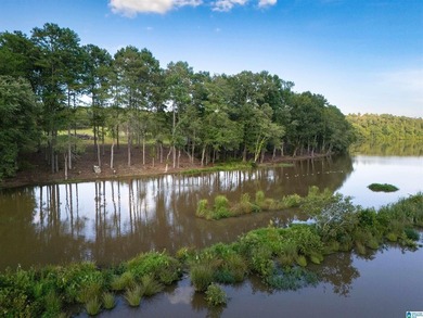 Rare opportunity on Lake Wedowee! This beautiful cleared lot on - photo 11