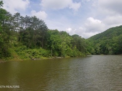 (private lake, pond, creek) Lot For Sale in Bean Station Tennessee