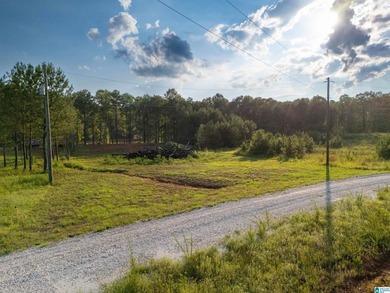 Rare opportunity on Lake Wedowee! This beautiful cleared lot on - photo 12