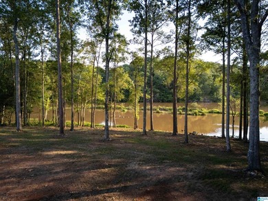 Rare opportunity on Lake Wedowee! This beautiful cleared lot on - photo 13