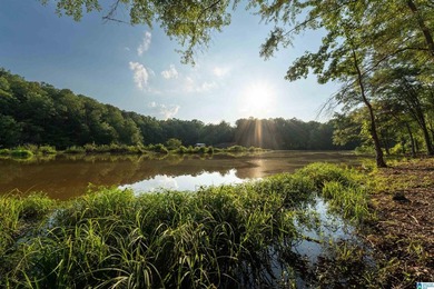 Rare opportunity on Lake Wedowee! This beautiful cleared lot on - photo 15