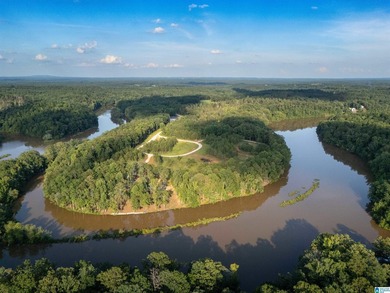 Rare opportunity on Lake Wedowee! This beautiful cleared lot on - photo 16