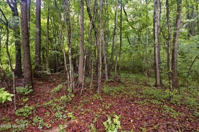 Nestled on 2.37 unrestricted acres, this beautifully remodeled - photo 19