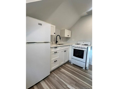 Completely renovated Multi-Family, Mixed Use Property with - photo 22