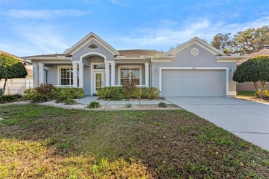 Valrico Lake Home Sale Pending in Valrico Florida